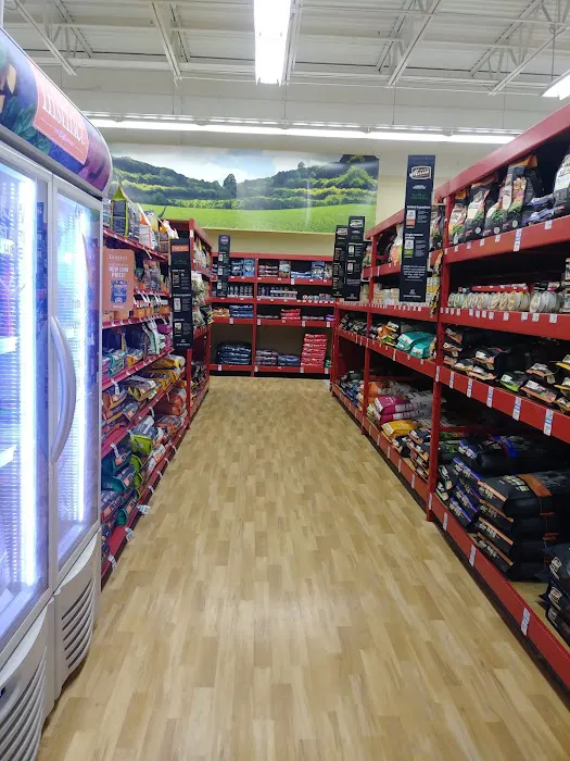Petco Picture 8