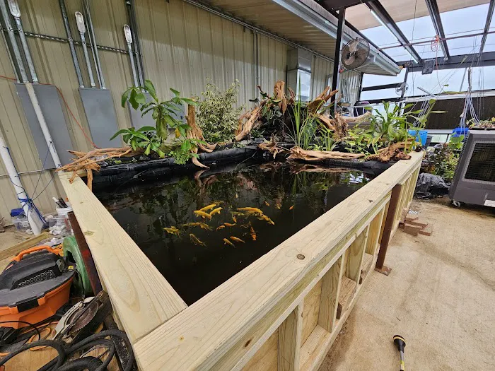 Aquaterratopia Picture 2