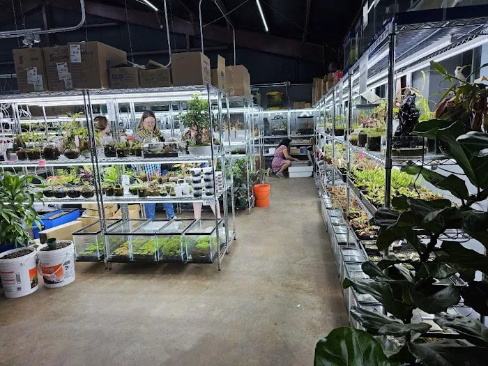 Aquaterratopia Picture 1