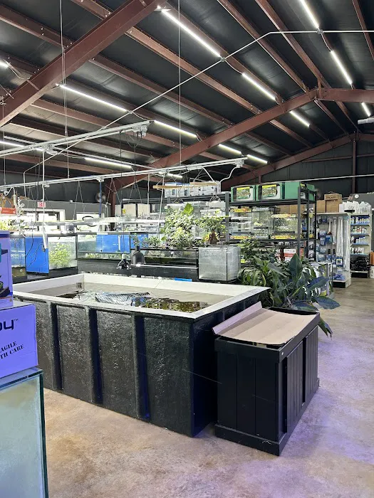 Aquaterratopia Picture 8