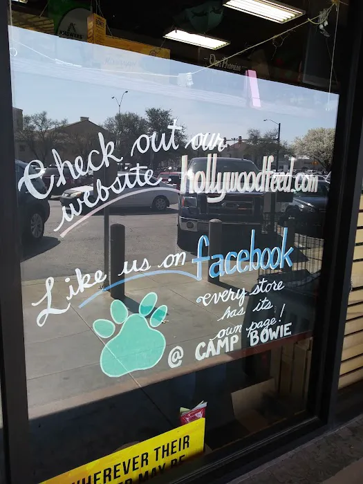 Hollywood Feed Picture 7