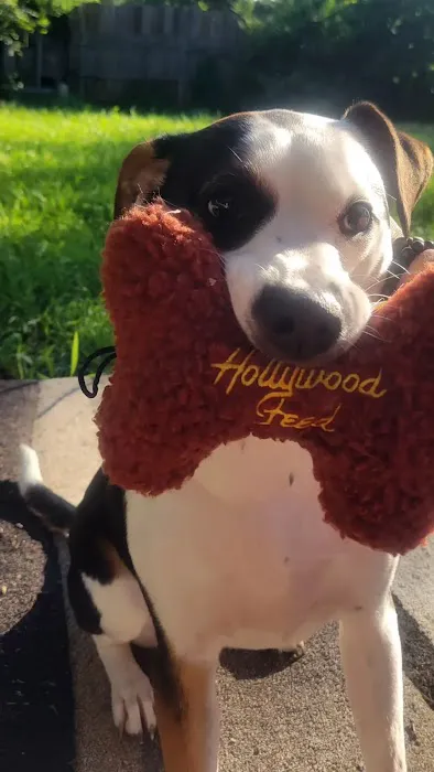 Hollywood Feed Picture 8