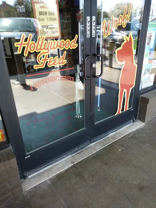 Hollywood Feed Picture 10