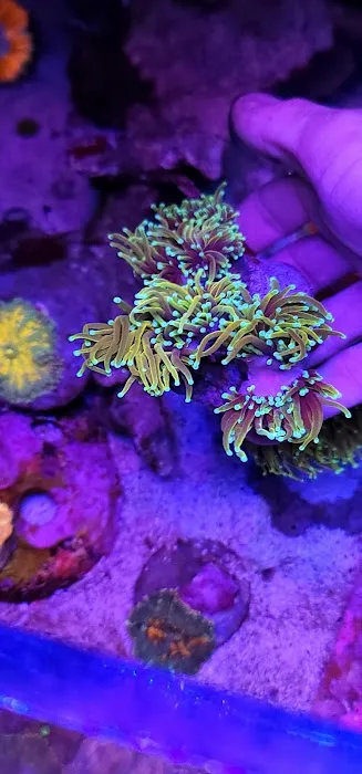 Planet Liquid Corp Picture 2