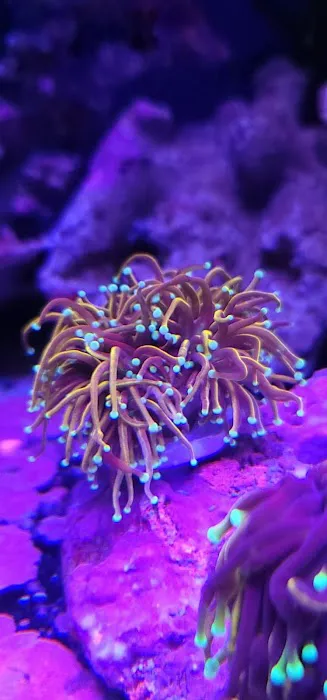 Planet Liquid Corp Picture 1
