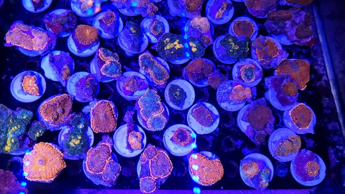 Planet Liquid Corp Picture 3