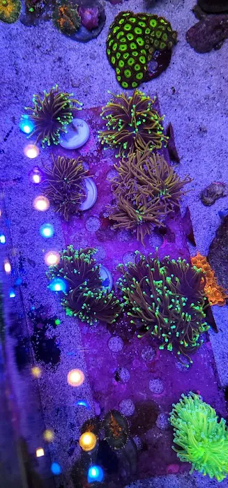 Planet Liquid Corp Picture 4
