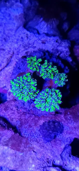 Planet Liquid Corp Picture 7