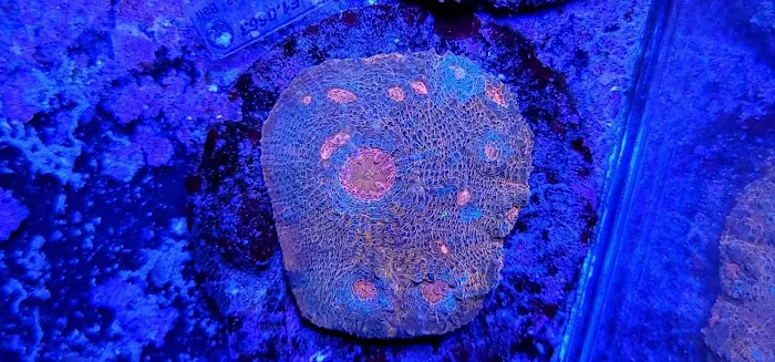 Planet Liquid Corp Picture 9