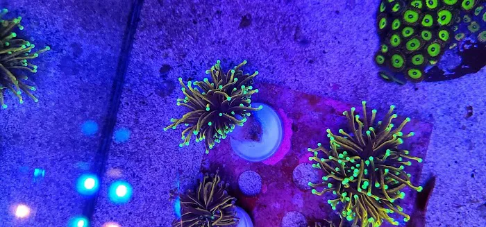 Planet Liquid Corp Picture 10