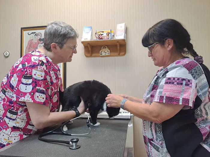 Wayne Heights Animal Hospital Picture 1