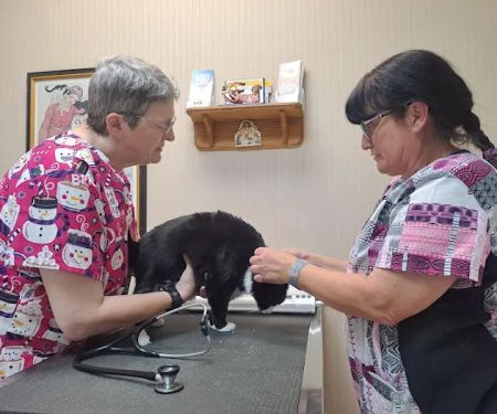 Wayne Heights Animal Hospital