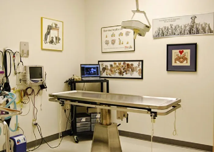 Wayne Heights Animal Hospital Picture 7