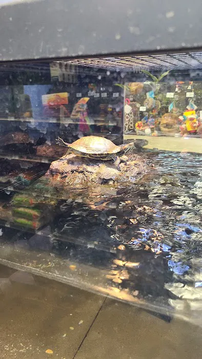 Petco Picture 2