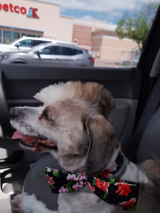 Petco Picture 7