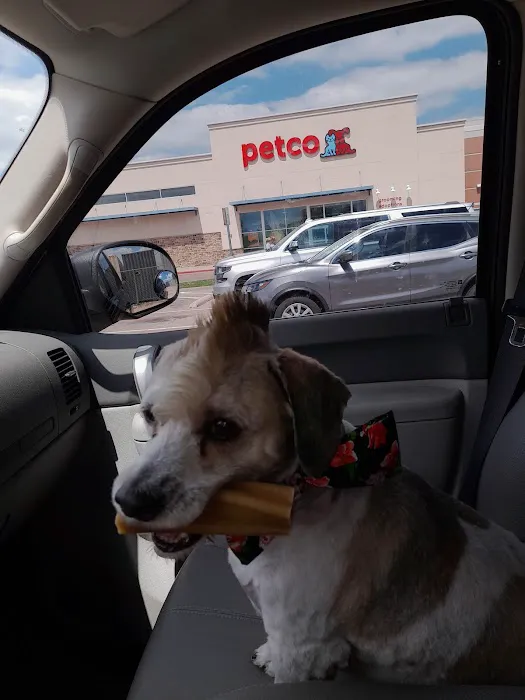 Petco Picture 10