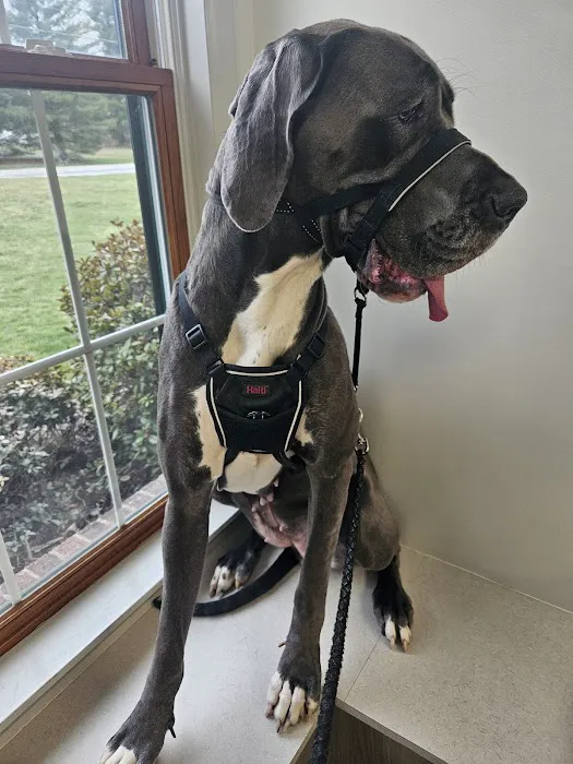 Gettysburg Animal Hospital Picture 9