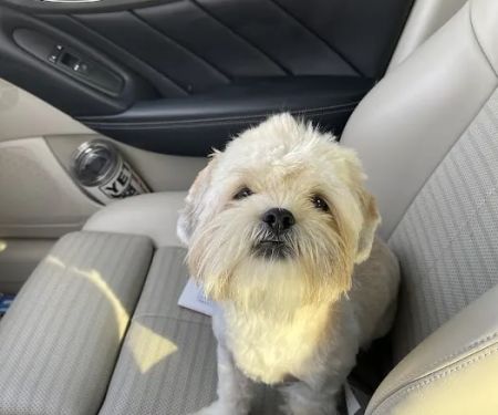 Petco