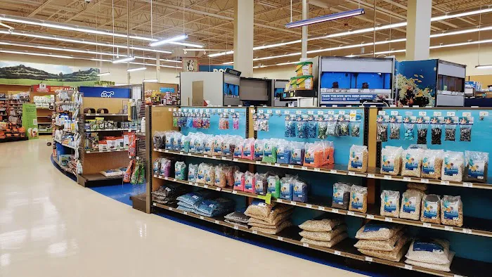 Petco Picture 2