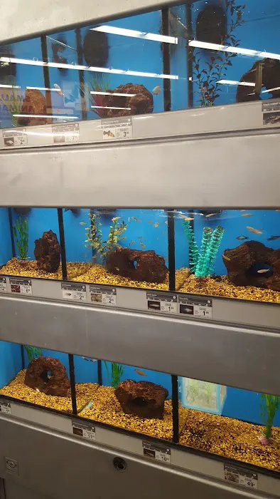 Petco Picture 8