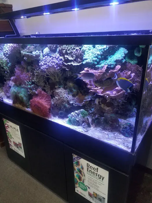 The Fish Place Picture 1