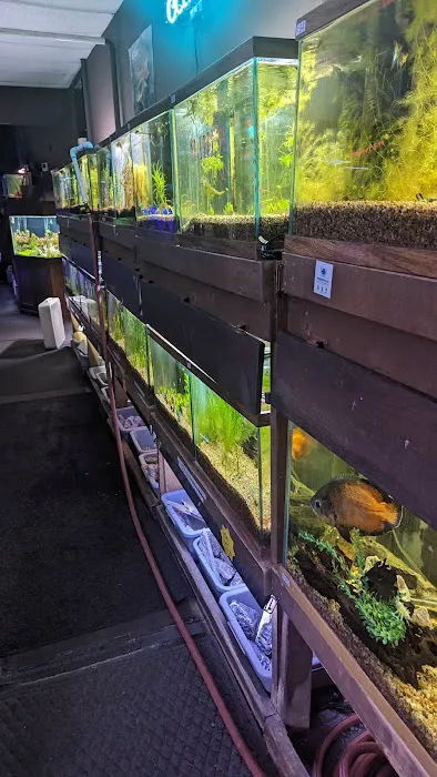 The Fish Place Picture 2
