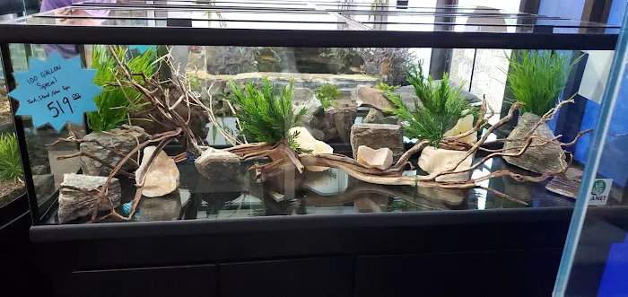 The Fish Place Picture 4