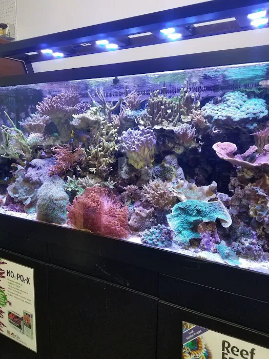 The Fish Place Picture 6