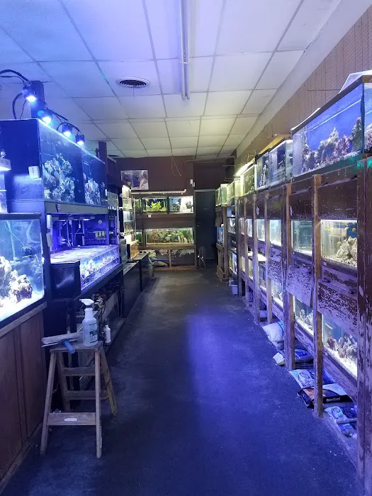 The Fish Place Picture 5
