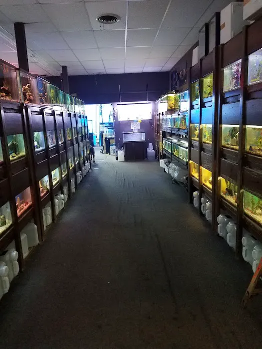 The Fish Place Picture 9
