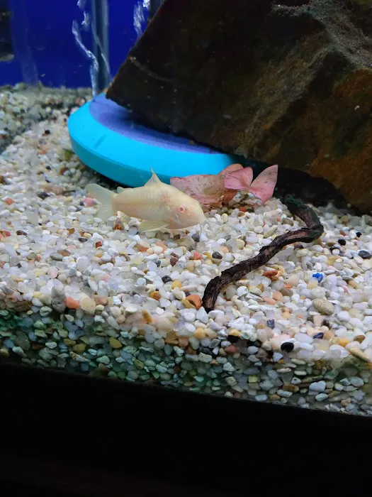 The Fish Place Picture 7