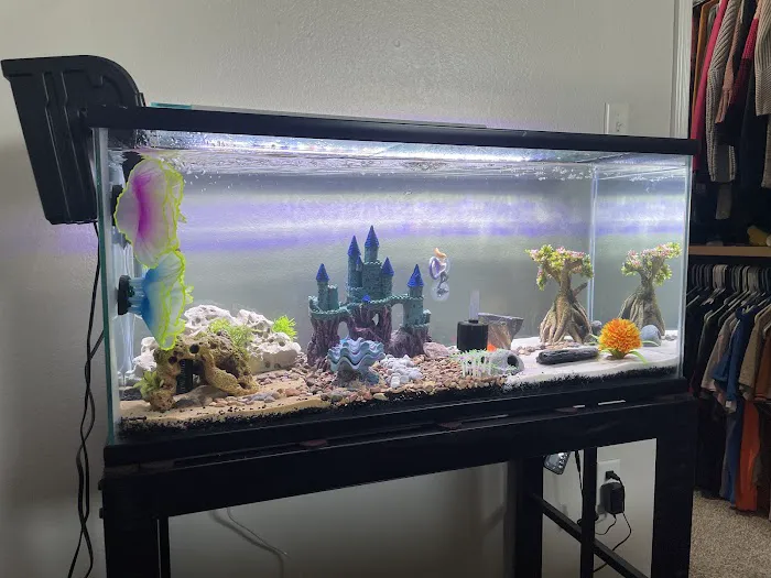 The Fish Place Picture 10