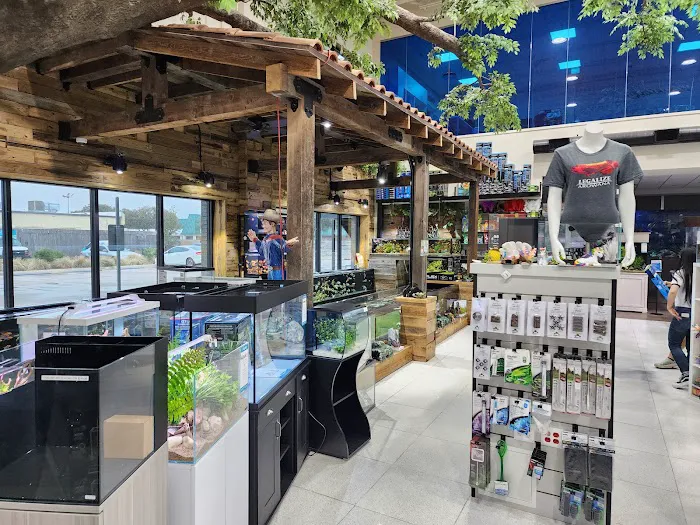 Fish Gallery | Aquarium Superstore Picture 1