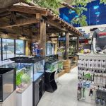 Fish Gallery | Aquarium Superstore