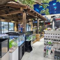 Fish Gallery | Aquarium Superstore ico