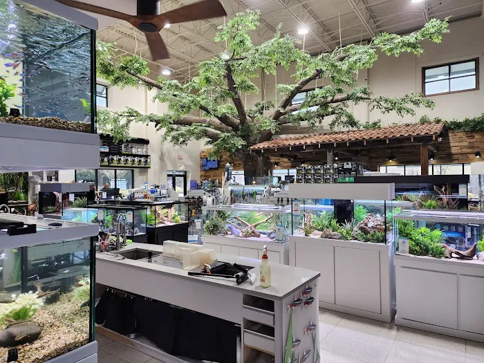 Fish Gallery | Aquarium Superstore Picture 2