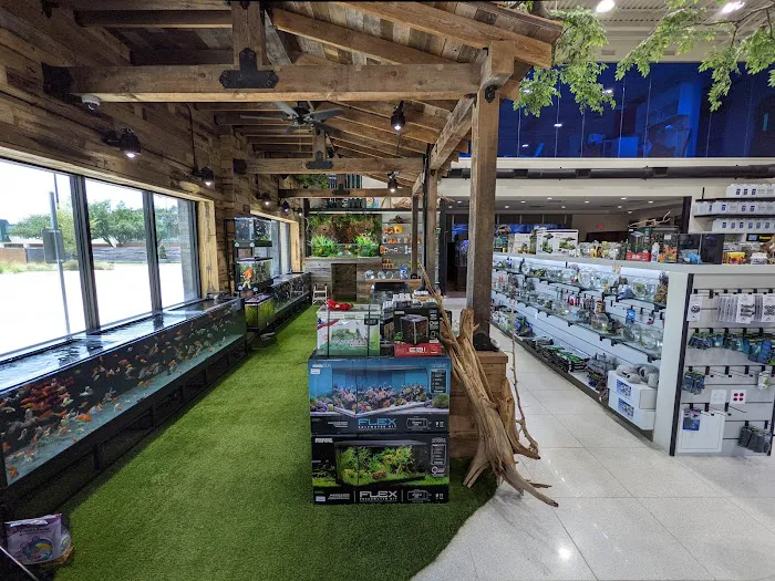 Fish Gallery | Aquarium Superstore Picture 4