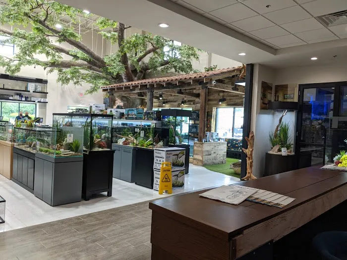 Fish Gallery | Aquarium Superstore Picture 9
