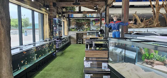 Fish Gallery | Aquarium Superstore Picture 8
