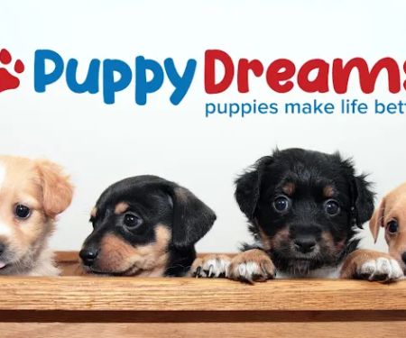 Puppy Dreams - Carrollton