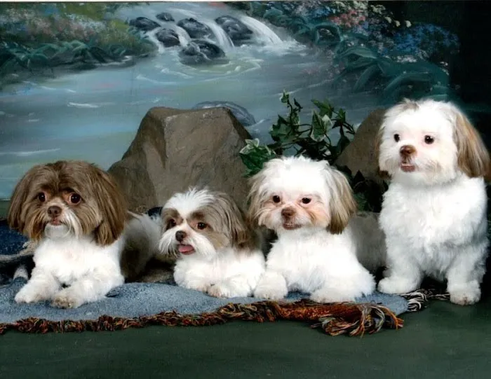 Smithsburg Veterinary Clinic Picture 1