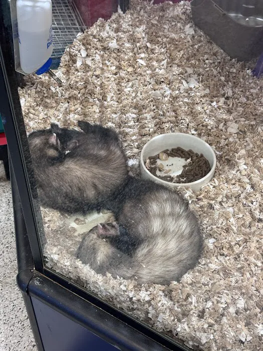 Petco Picture 7