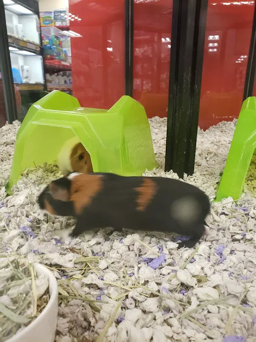 Petco Picture 6