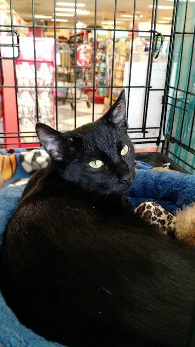 Petco Picture 9