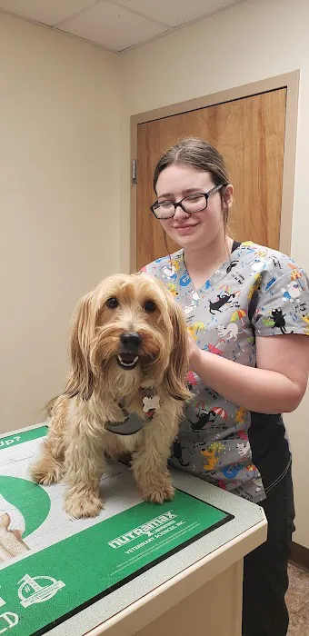 Palmer Animal Hospital Picture 1