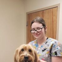 Palmer Animal Hospital ico