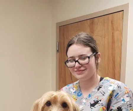 Palmer Animal Hospital