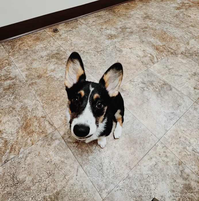 Palmer Animal Hospital Picture 3