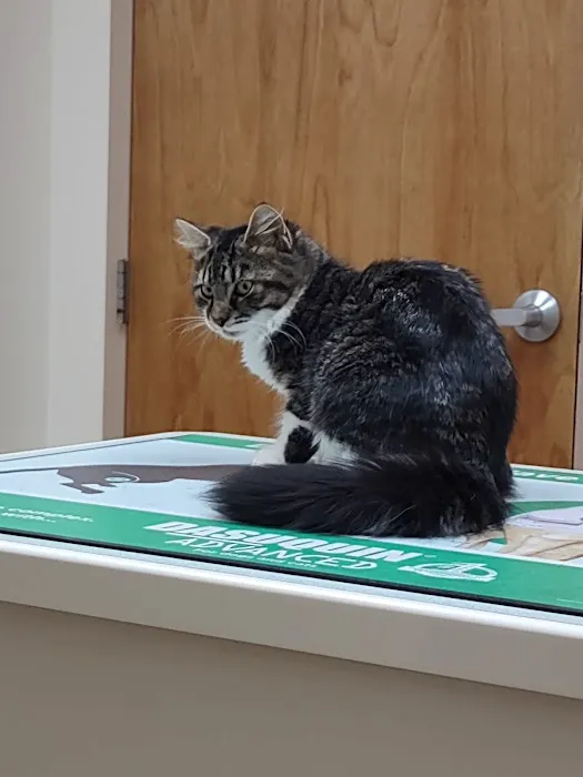 Palmer Animal Hospital Picture 8