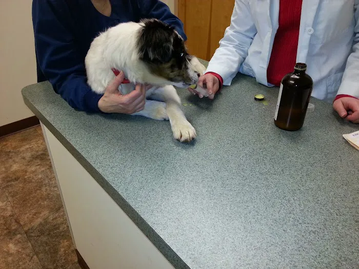 Palmer Animal Hospital Picture 9